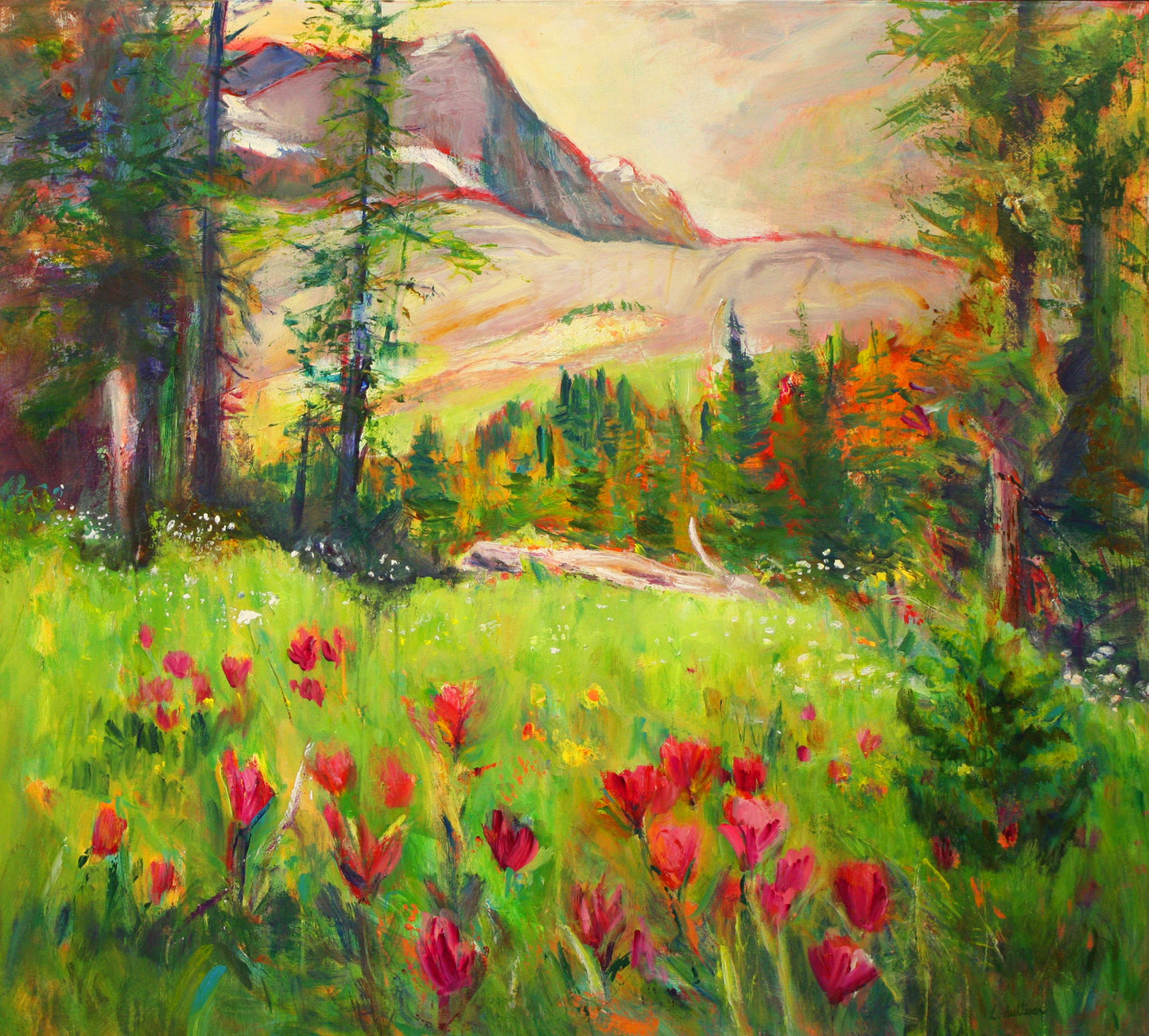 Sunshine Meadows & Paintbrush