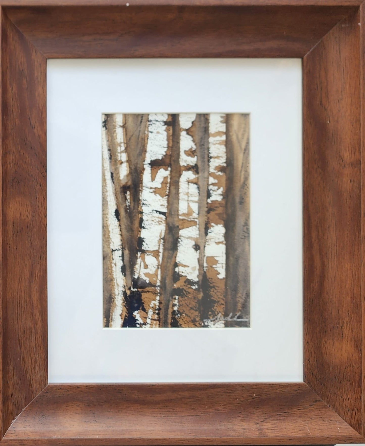 Birch Trees 1