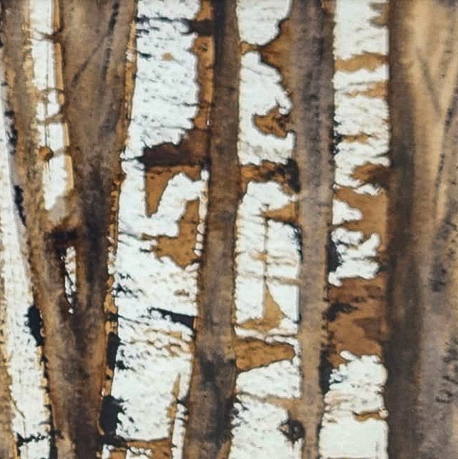 Birch Trees 1