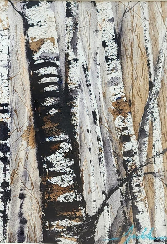 Birch Trees 2