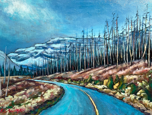 Road to Cameron Lake 2