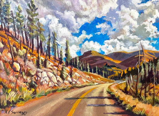 Road to Cameron Lake 4