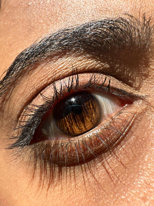 Lash Serum - Beauty From Bees