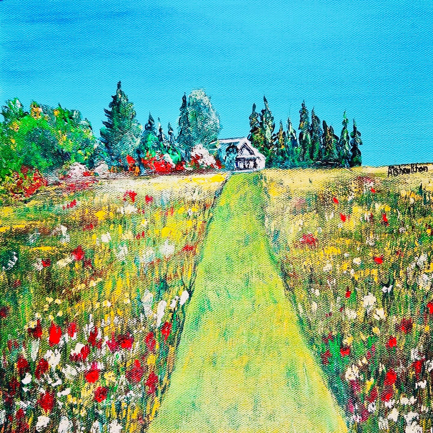 Foothills 2