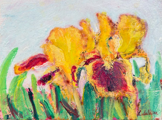 Iris in Sun