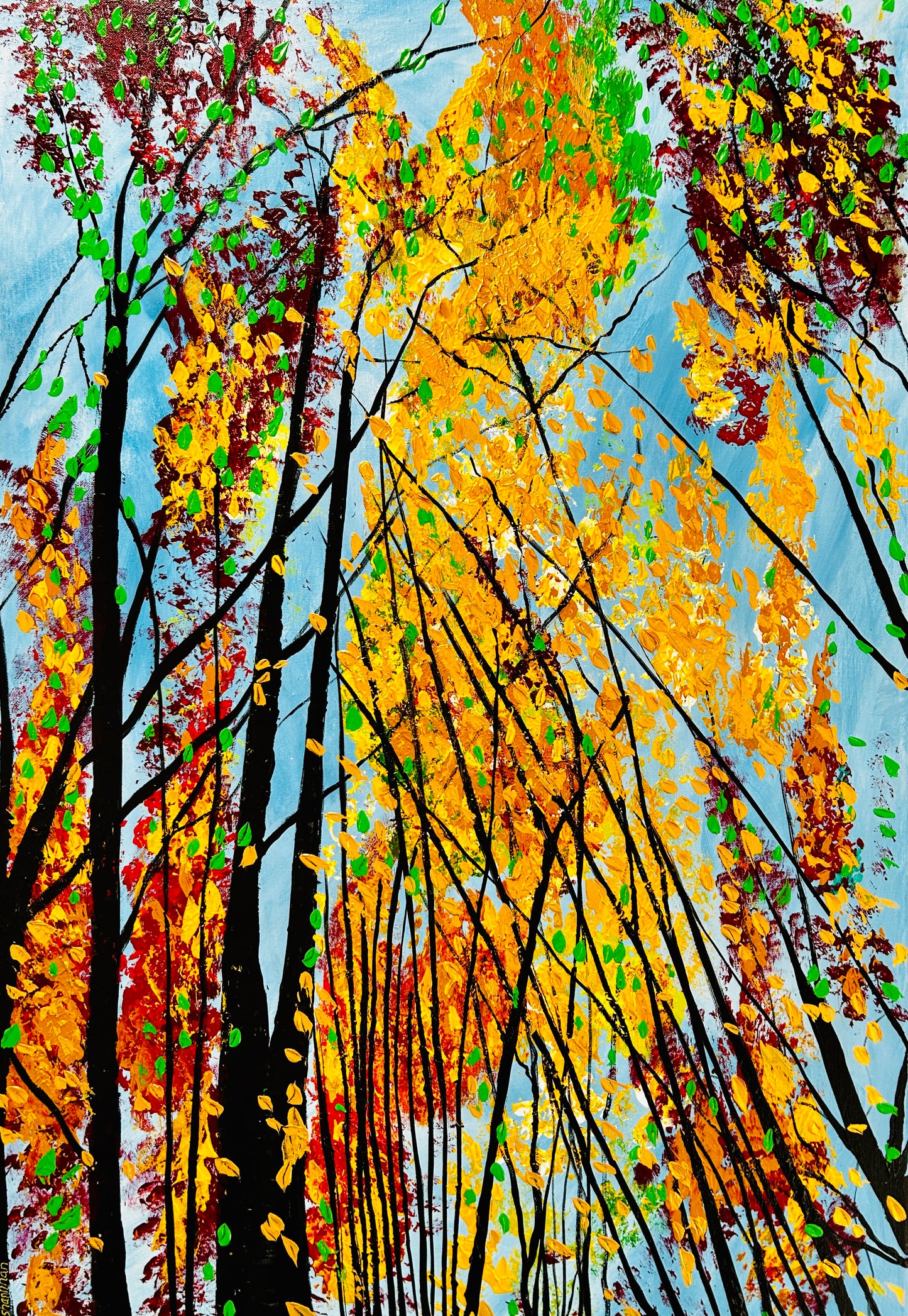 Colours of Fall