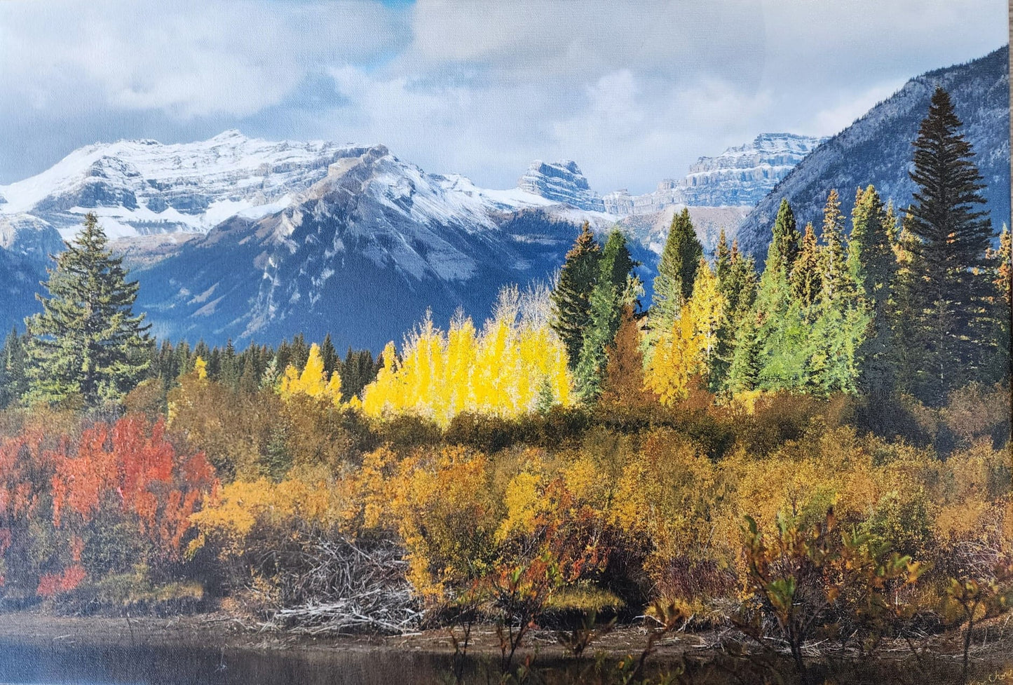 Mountain Gold