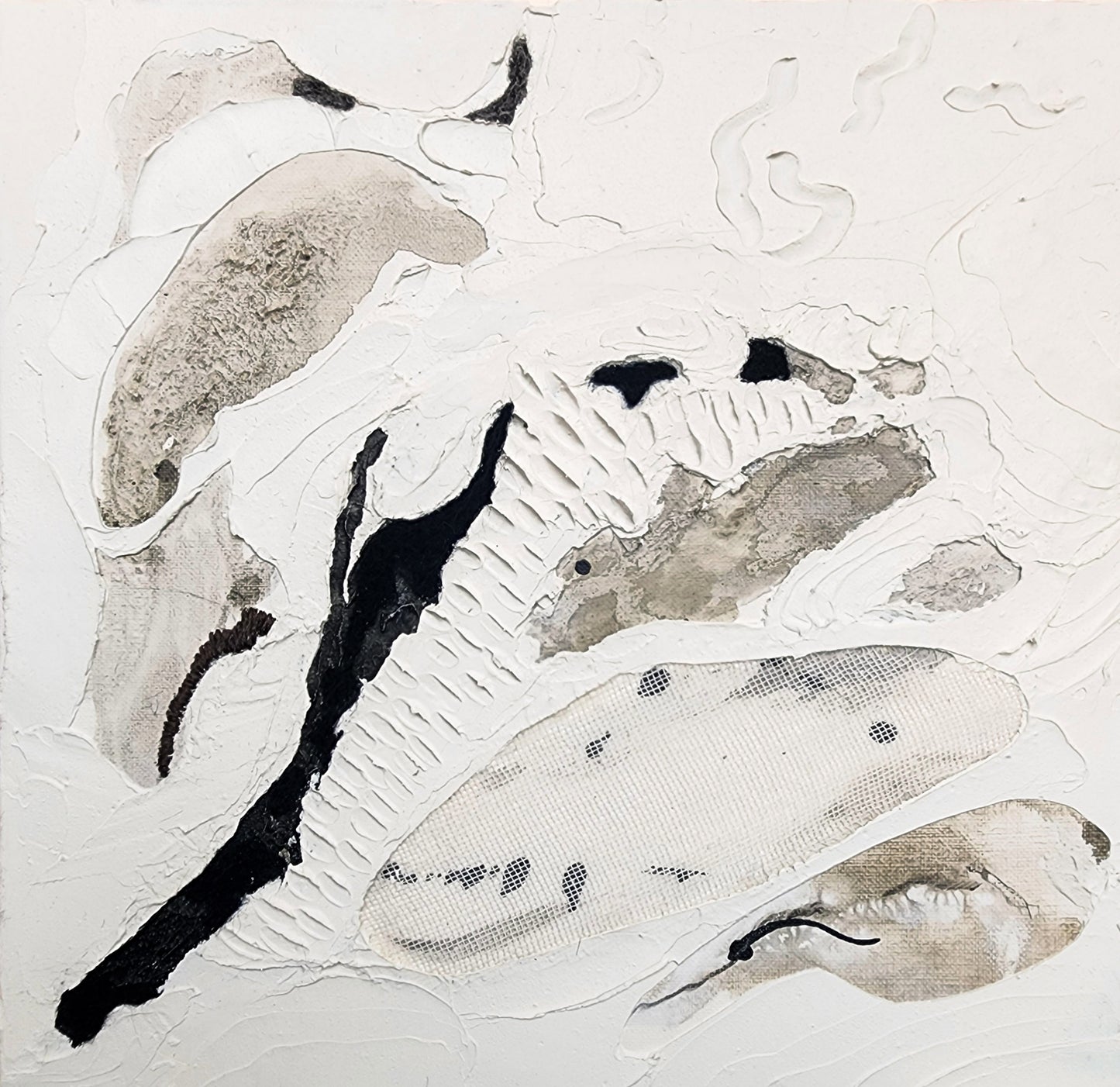 Shadows Beneath the Drift