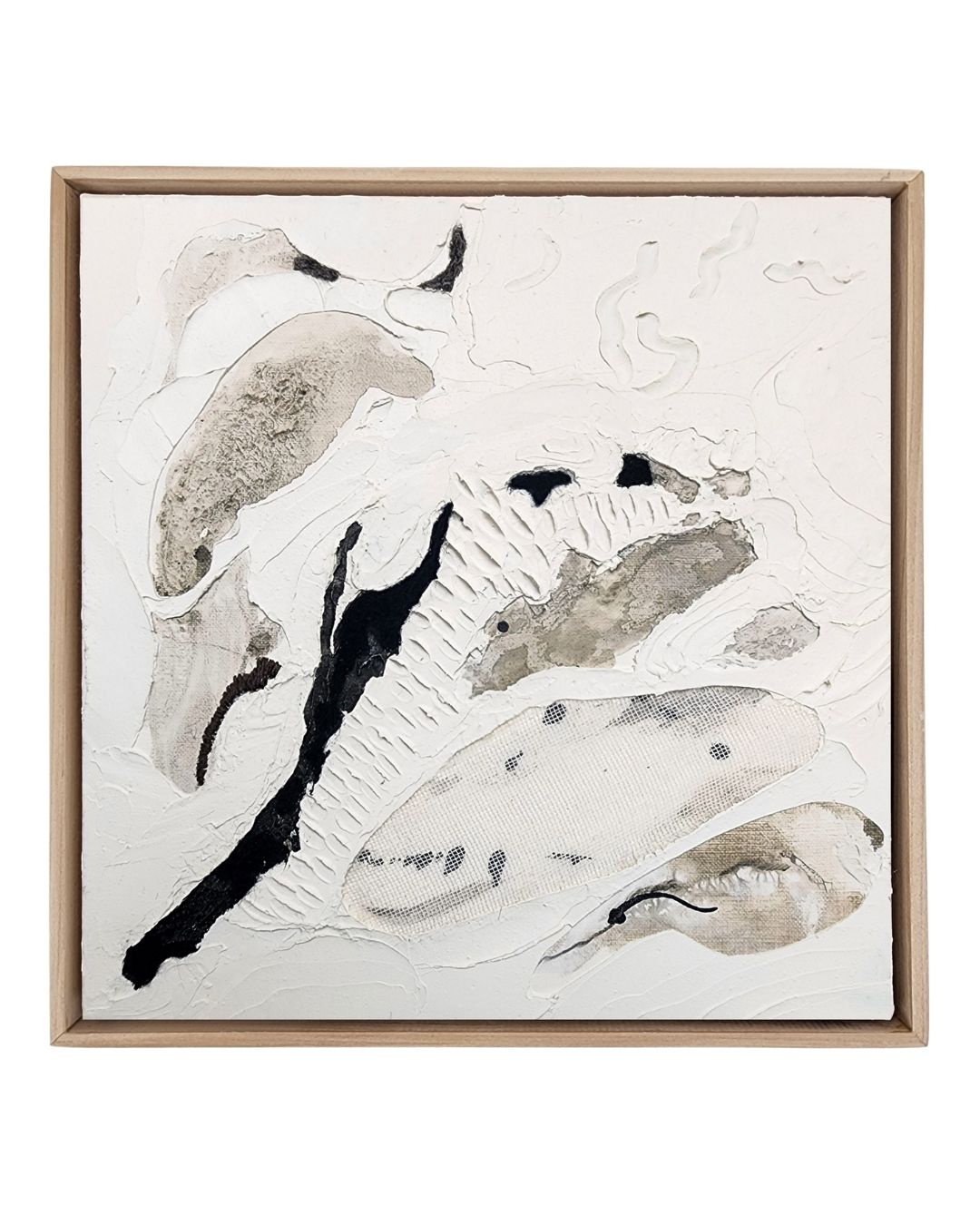 Shadows Beneath the Drift